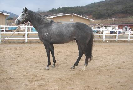 �ΰ���� ����