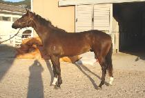 ������� (HEUNGHAENG DAEJAK) ����