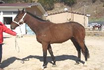 �¸��� (SEUNGNIJA) ����