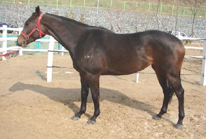 ��ȫ�� ����