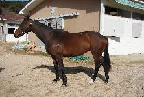 �߿����� (CHUWOL DOKJU) ����