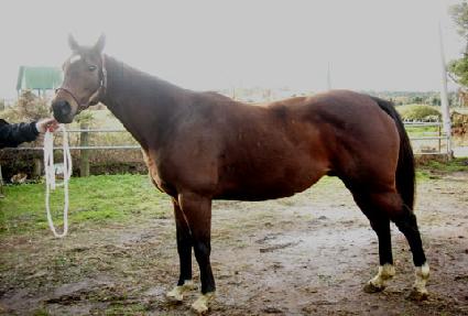 ������� ����