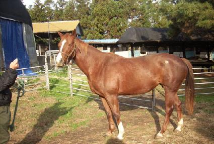 ��������� ����