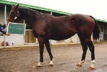 MAPLE SUNDAE picture