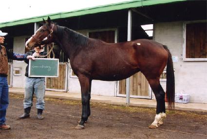 ����Ŭ������� ����