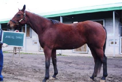 �������� ����