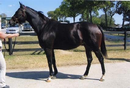 �׷������ ����