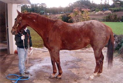 �̽��������� ����