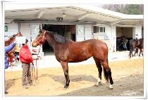 ����õ�� (GWANGMYEONGCHEONJI) ����