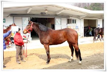 ����õ�� ����