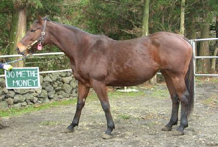 ���̴��Ӵ� ����