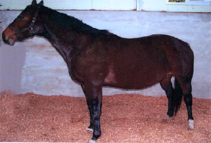 ��θ޸� ����