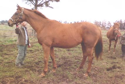 ���� ����