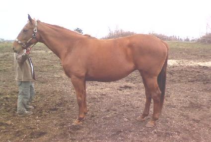 ���Ŭ���� ����