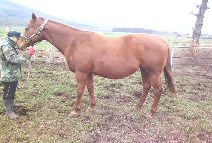 ������������ ����