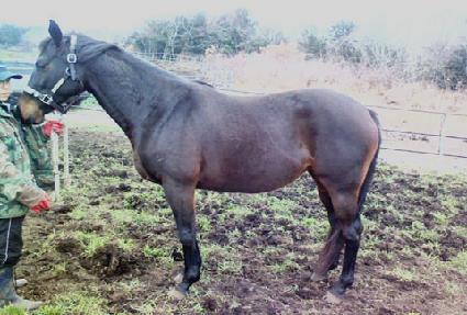 ���ֹ̺̾��� ����