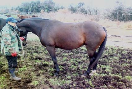 ����̴� ����