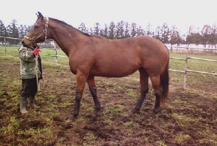 ���߽��̽����� ����