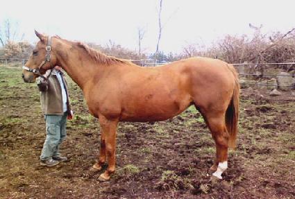 Ŭ��������� ����