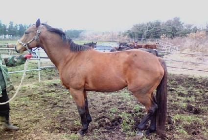 ��ũŸ�� ����