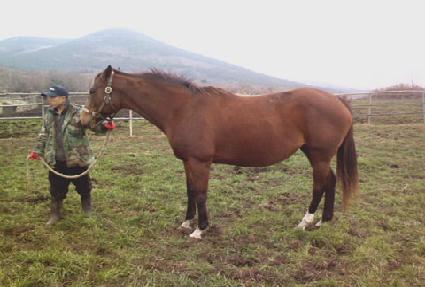 ����䰡ķ���� ����