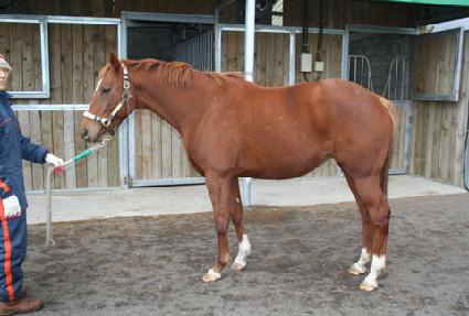 ��ī���� ����