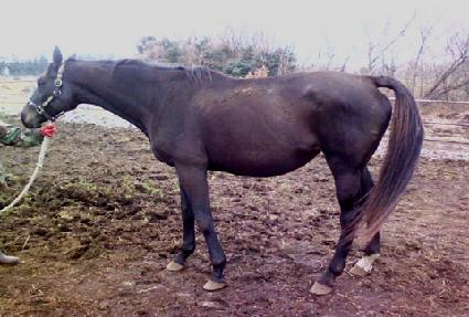 ��ǻƼ������ ����