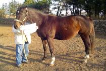 LOVING ANGEL picture