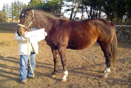 �������� ����