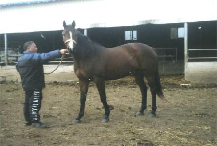 ��������Ʈ ����