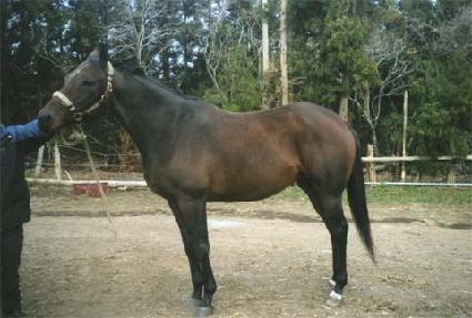 ��ũ ����