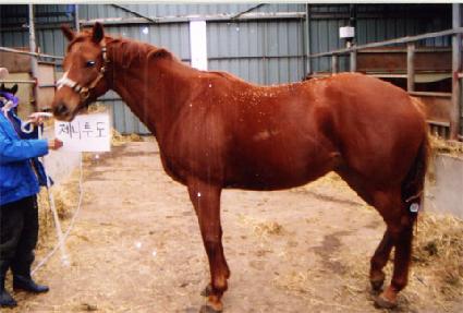 ����Ʃ�� ����