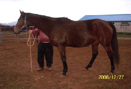 ����Ʈä�� ����