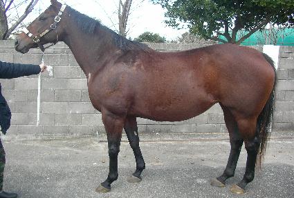 �Ŀ���Ʈ ����