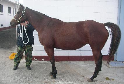 �������� ����