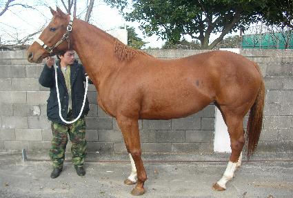 �������Ϸ��� ����