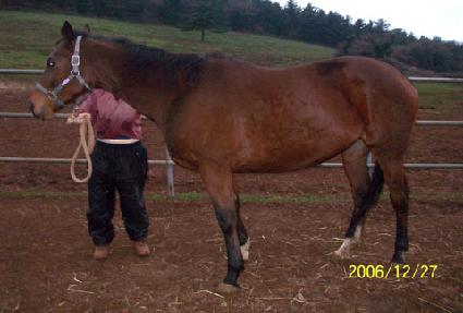 ����Ƽ���ڵ� ����