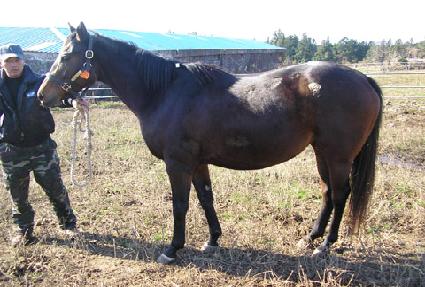 �Ϸ�ú���ġ ����