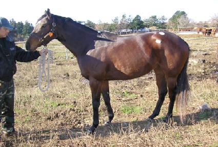 �̽����̴��� ����