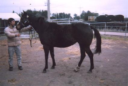 �̺�Ű���׼� ����