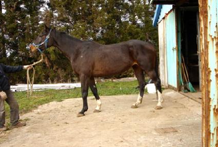 ��׾ص�Ű�� ����