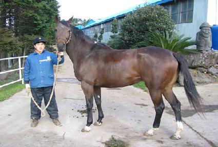 ��������Ǯ�� ����