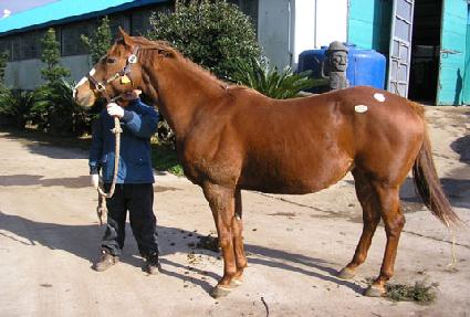 �����̺� ����