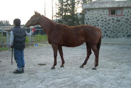 ��Ʈ����� ����