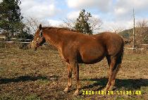 �мų��÷��̾� (PASSIONATE PLAYER) ����