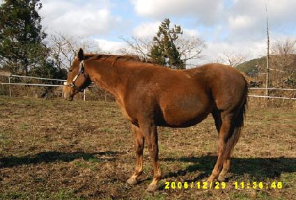 �мų��÷��̾� ����