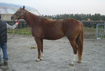 �ֳ������� ����