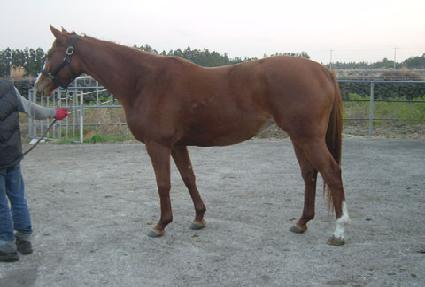 ������ ����