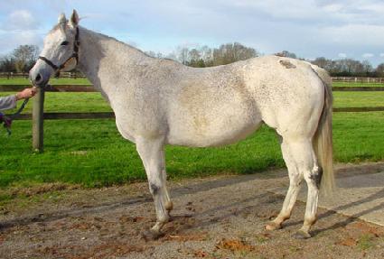 ŰƼ����ϵ� ����