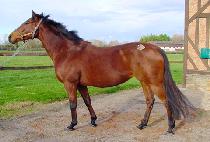 ������ (MAGIC VIEW) ����